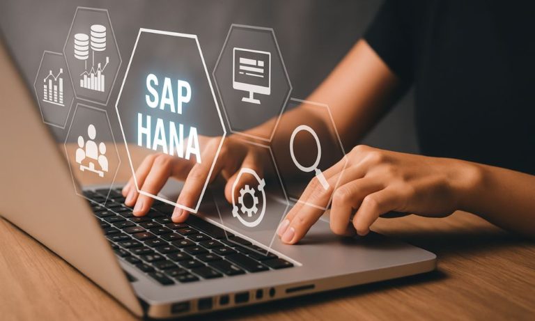 sap hana definicion