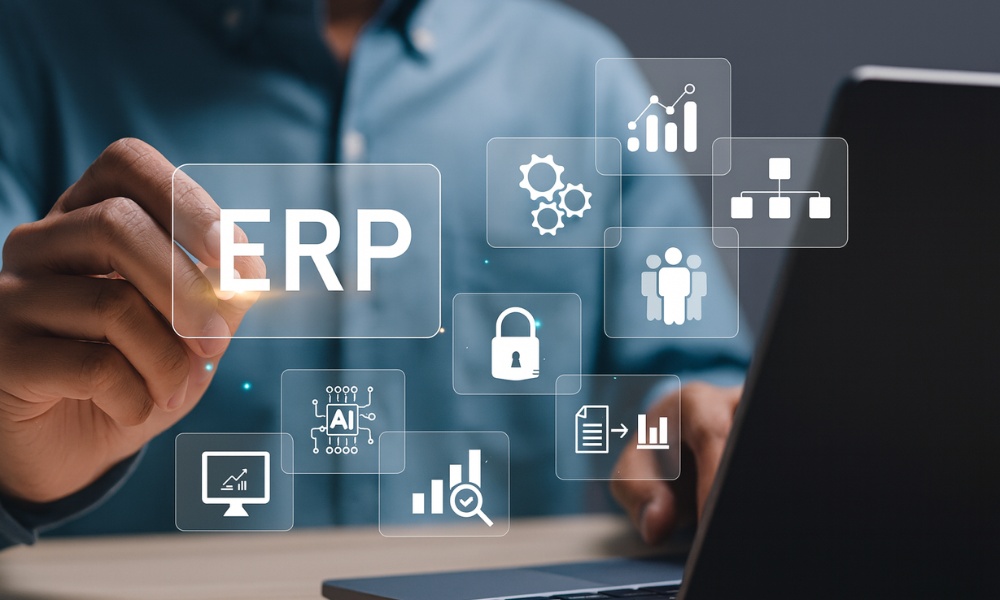 caracteristicas erp estandarizado